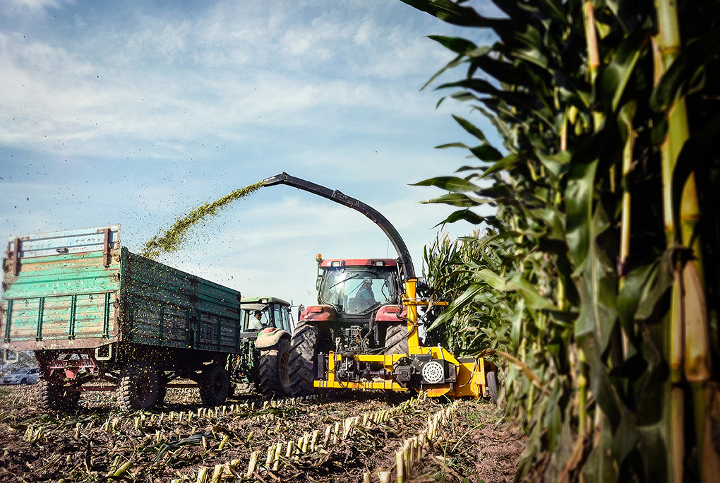 May_cat_bap_tho_nhi_ky