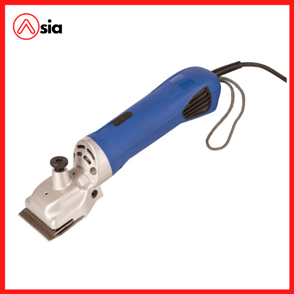 Tong_do_cat_long_bo_ngua