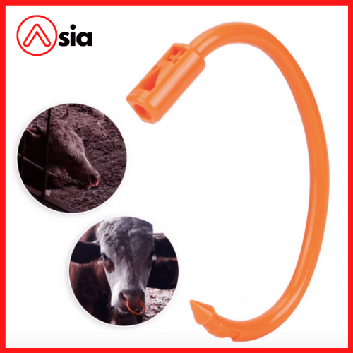 Vong-xo-mui-bo-bang-nhua-plastic-1