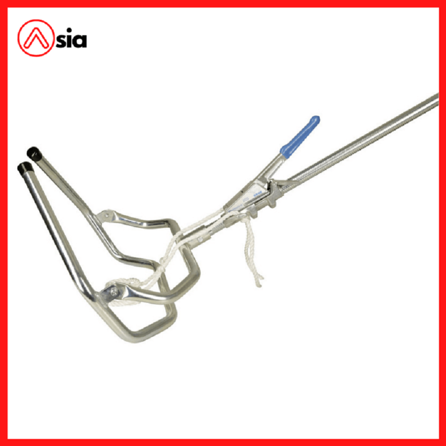 Gay-keo-thai-bo-a-chau