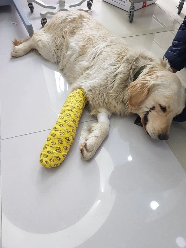 Bang Thun Co Dinh Ton Thuong