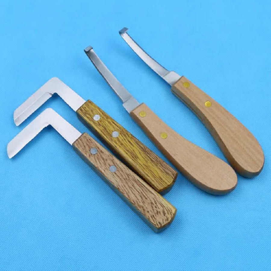 Cac Loai Dao Got Mong Bo