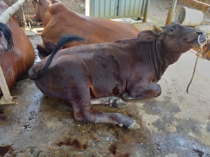 Cach Dung Vong Xo Mui Bo Inox