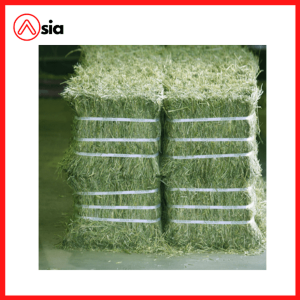 Co-kho-alfalfa-thuc-an-gia-suc