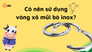 Co-nen-su-dung-vong-xo-mui-bo-inox