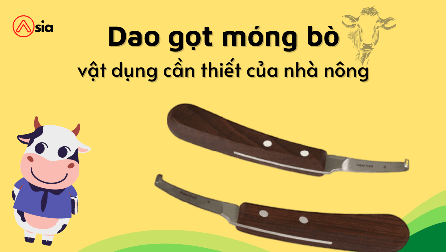 Dao-got-mong-bo-vat-dung-can-thiet-cua-nha-nong
