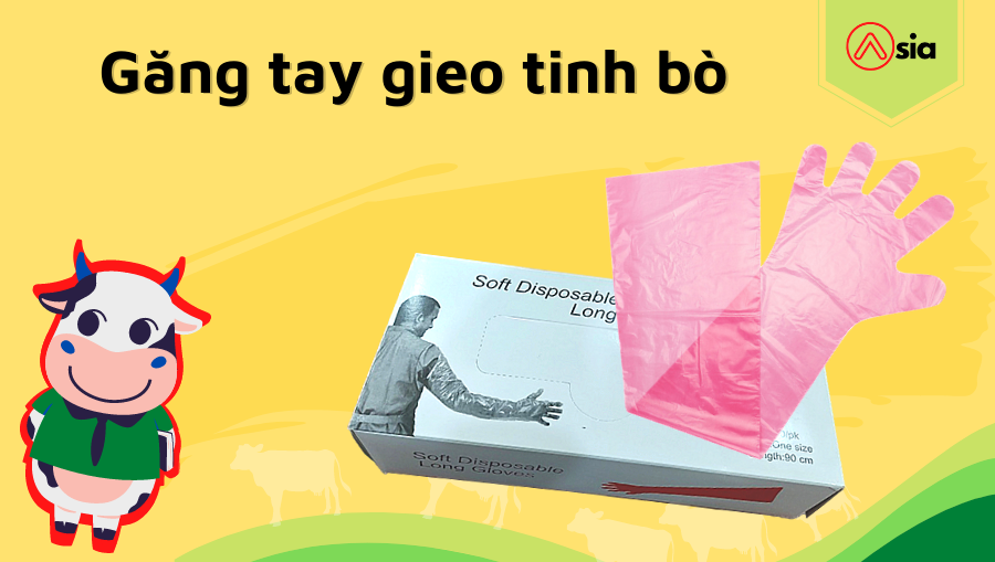 Gang-tay-gieo-tinh-bo