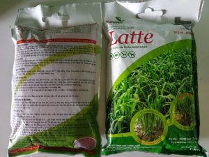 Mua Hat Giong Co O Dau