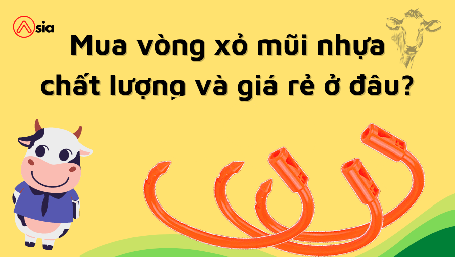 Mua-vong-xo-mui-nhua-chat-luong-va-gia-re-o-dau