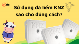 Su-dung-da-liem-knz-sao-cho-dung-cach