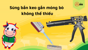 Sung-ban-keo-gan-mong-bo-khong-the-thieu