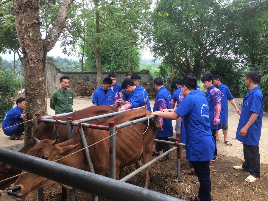 Tap-huan-ki-thuat-thu-tinh-nhan-tao