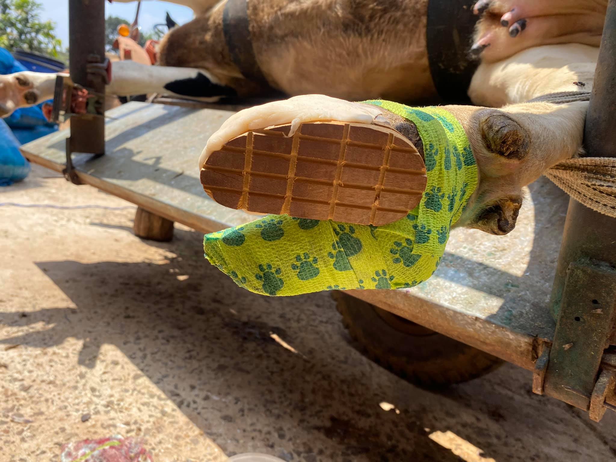 191409088_1728535393985378_5415930562862627241_n