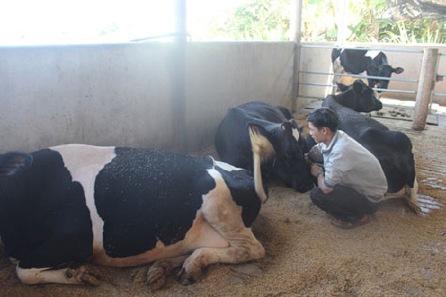 Phat-hiem-som-benh-viem-vu-o-bo