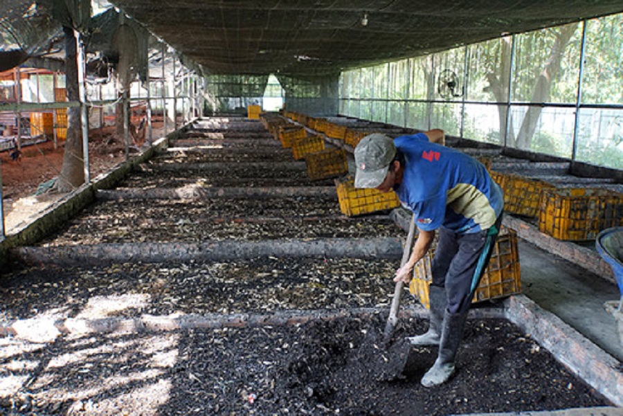 Ung-dung-phu-pham-nong-nghiep