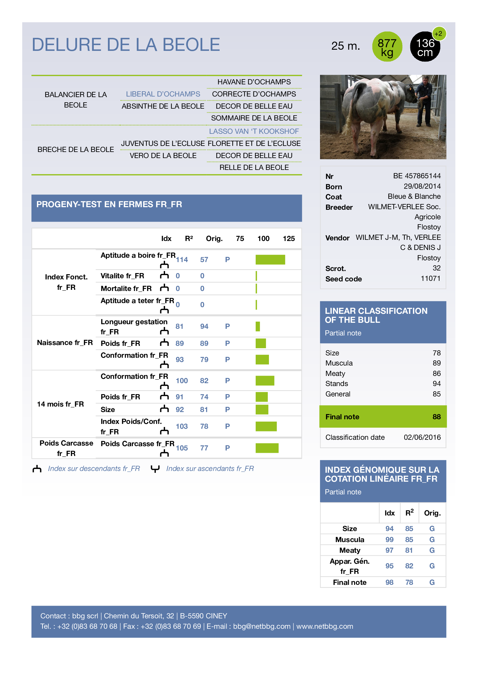 987cb5c05cc844c687760c5e800aefe7bprrq27efwrvw8f5-0