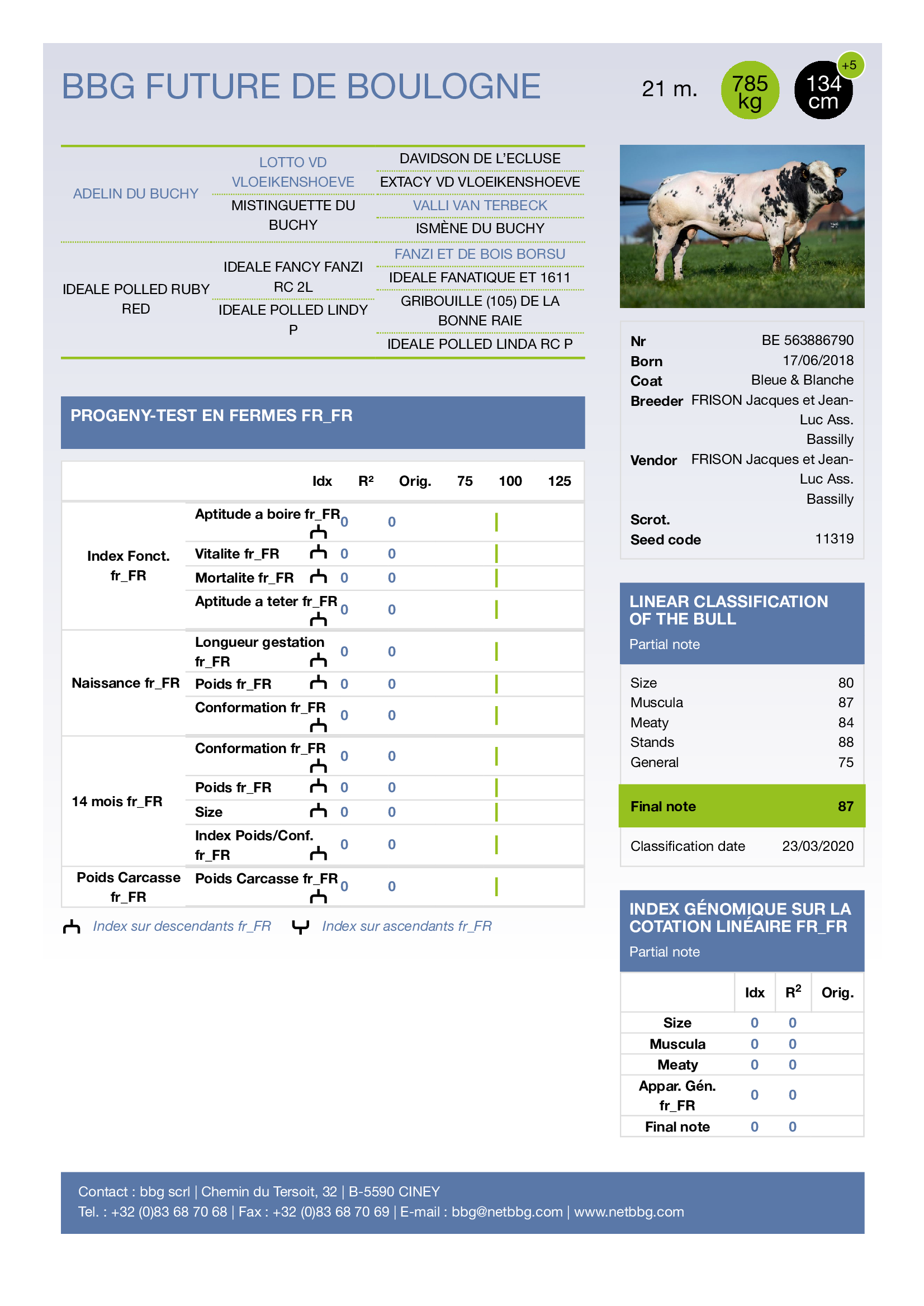 Be 563886790-bbb-cow