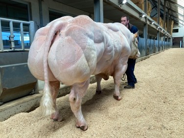 Rejoui-d-argenton-be 456599139_bbb