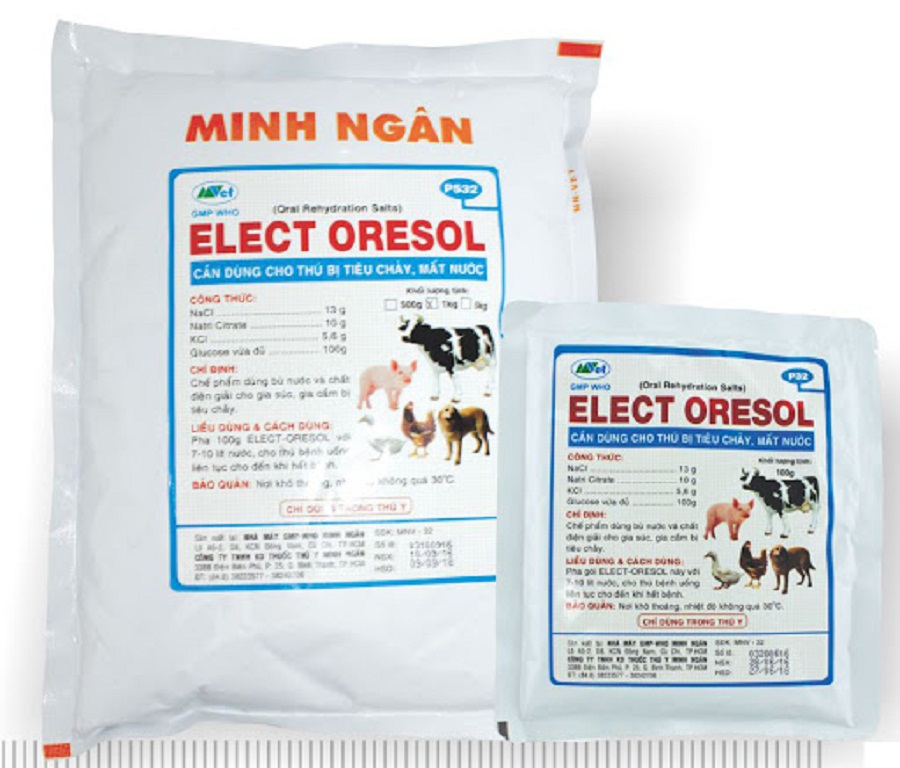 Bu-nuoc-va-dien-giai