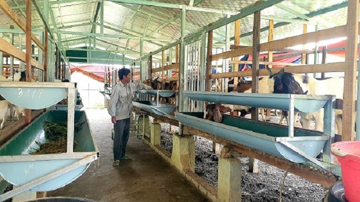 Chuong-nuoi-de-chia-ngan