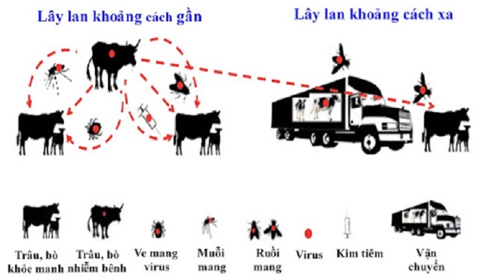 Nguyen-nhan-gay-benh