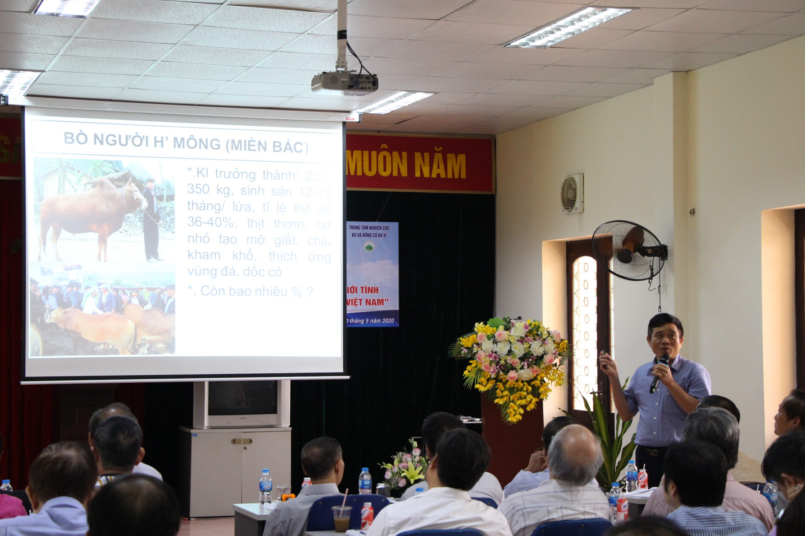 Ts Tăng Xuân Lưu – Giám đốc Trung Tâm Bò Và Đồng Cỏ Ba Vì