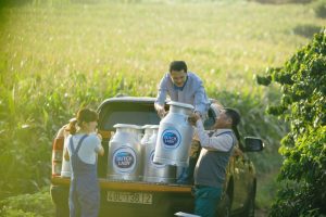 Thanh-phan-sua-nguyen-lieu