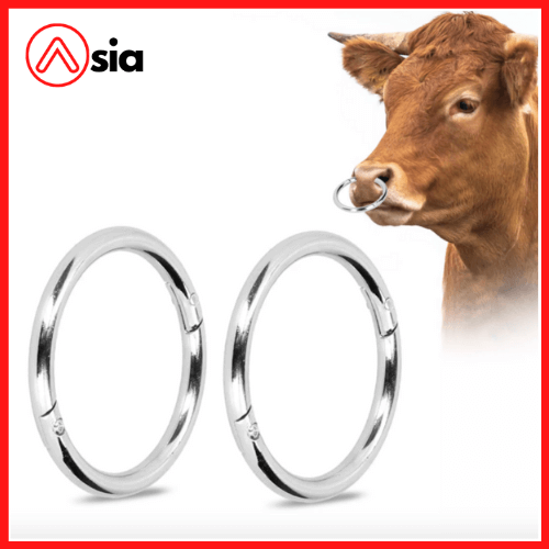 Vong-xo-mui-bo-sua-bo-thit-2