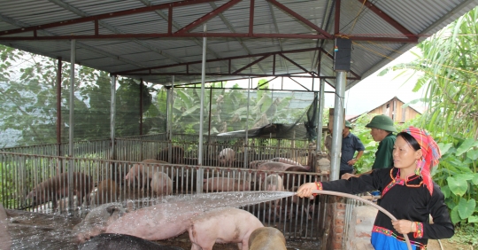 Huyện Vùng Sâu Phát Triển Mạnh Chăn Nuôi_6139c86054404.jpeg