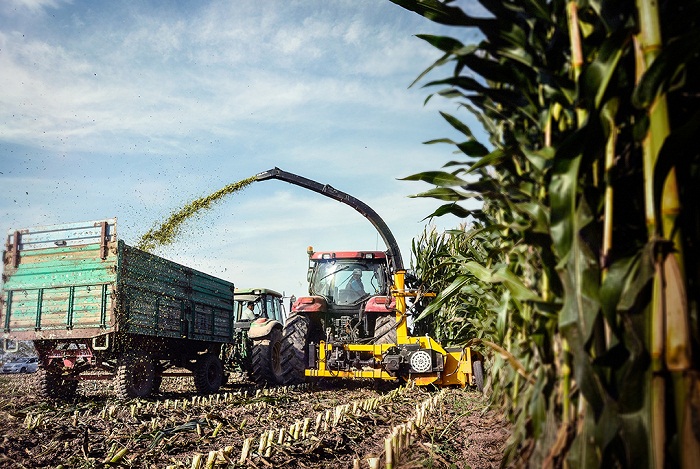 May-cat-bap-tho-nhi-ky