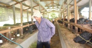 Vì Sao Nông Dân ít Mặn Mà Bảo Hiểm Chăn Nuôi?_6139c8727f95e.jpeg