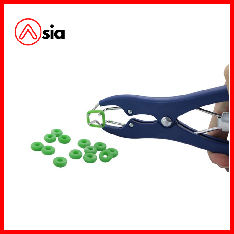 Kim_thien_vong_duc_0972502797