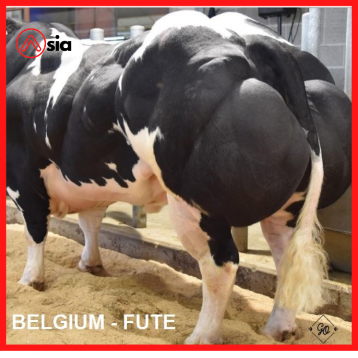 Tinh_bo_bbb_bi_fute_0972502797