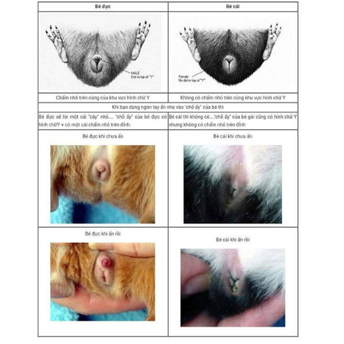Thiết Kế Không Tên (12)
