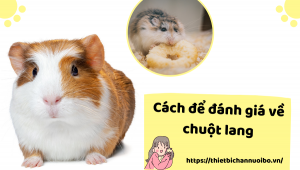 Thiết Kế Không Tên (16)