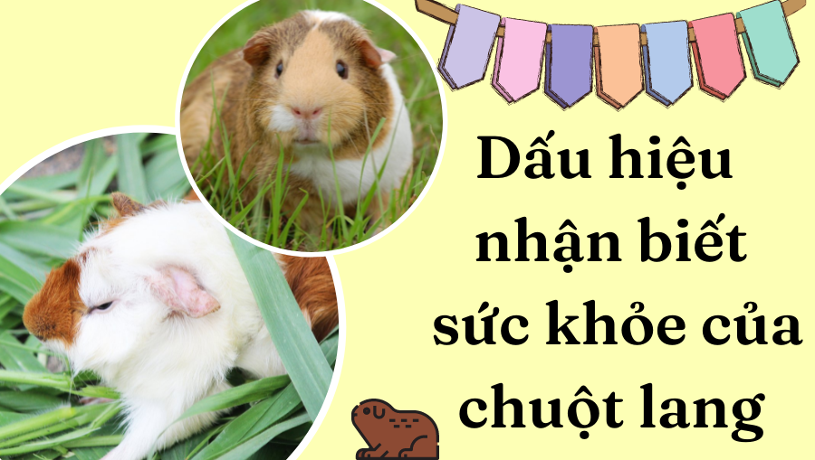 Thiết Kế Không Tên (21)