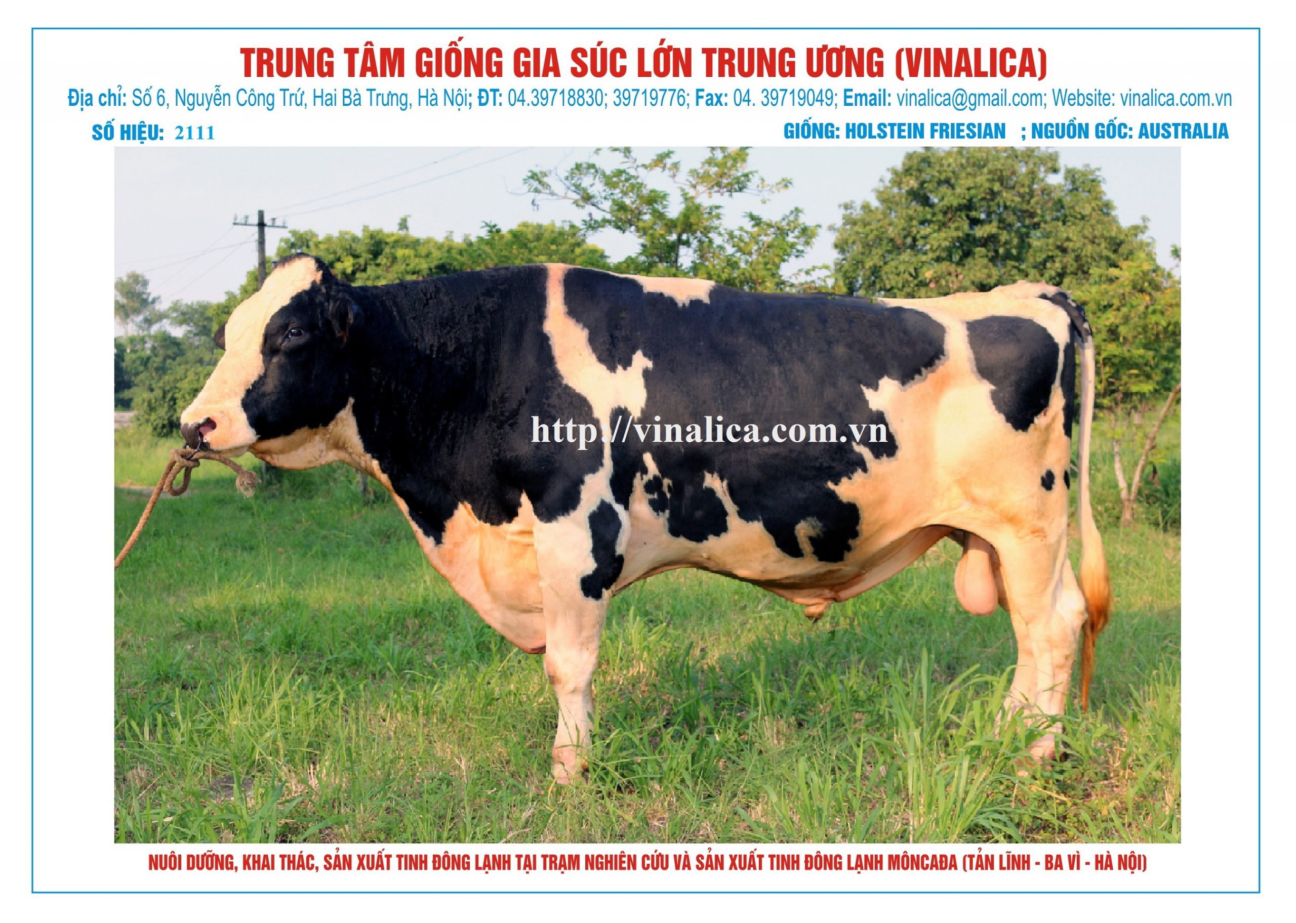 Tinh_bo_hf_2111_0972502797