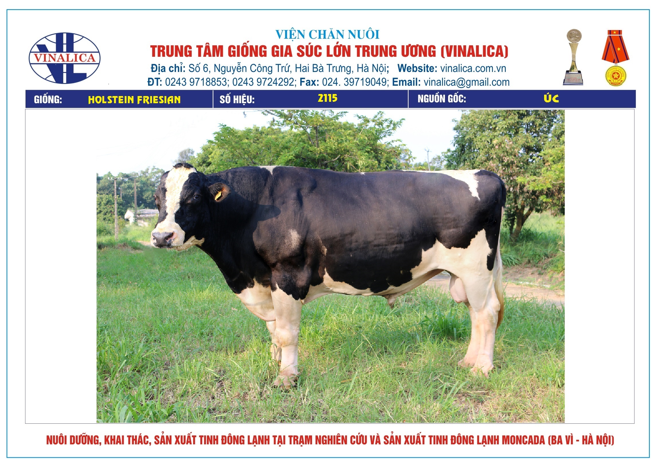 Tinh_bo_hf_2115_0972502797