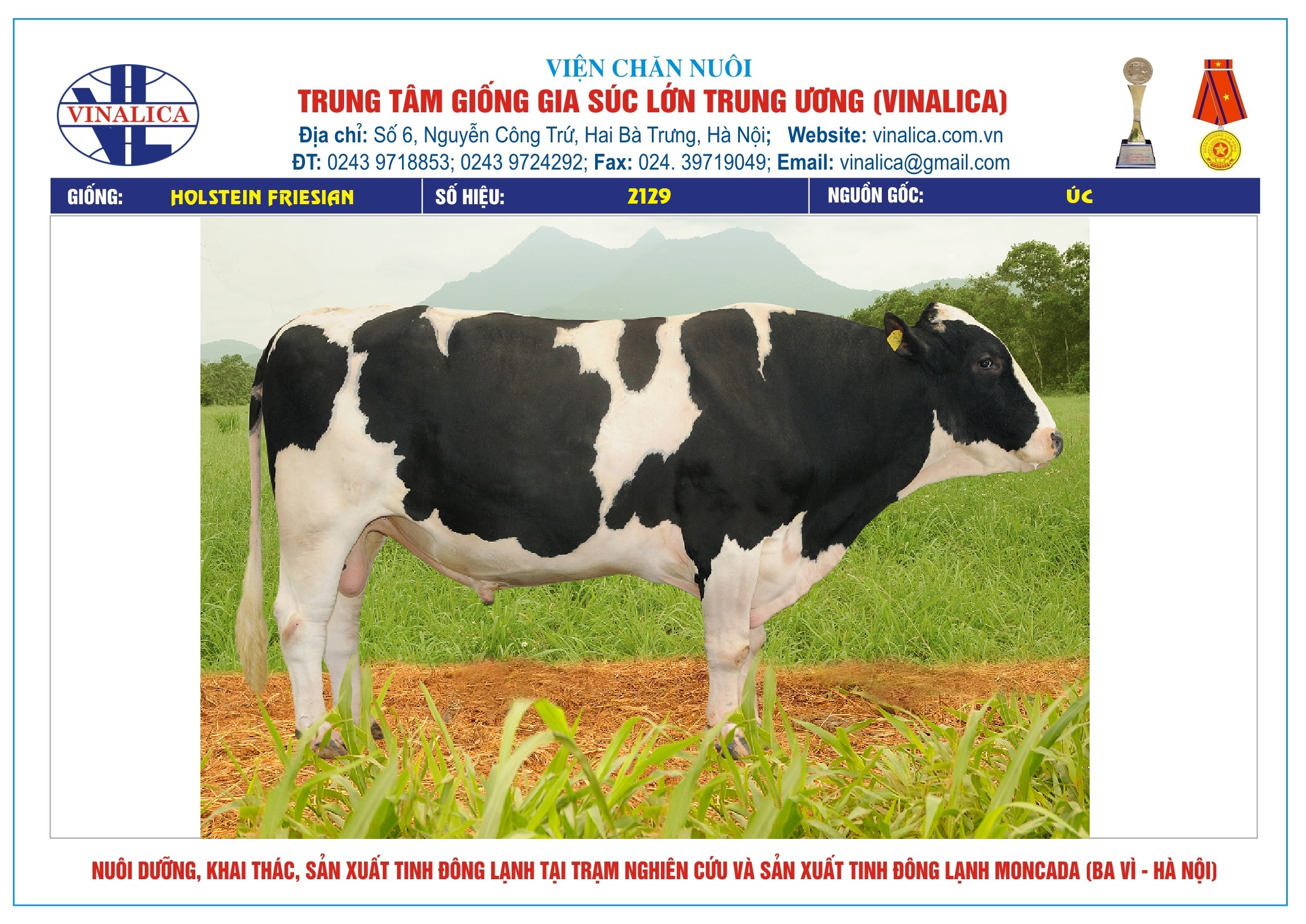 Tinh_bo_hf_2129_0972502797