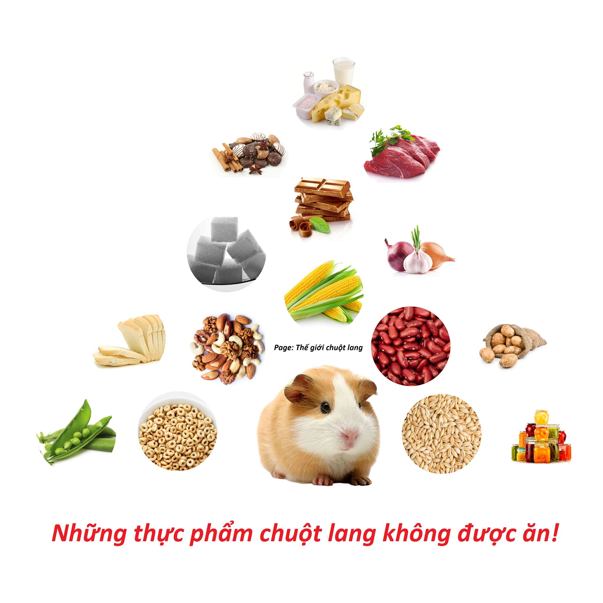 Danh_sach_do_an_khong_danh_cho_chuot