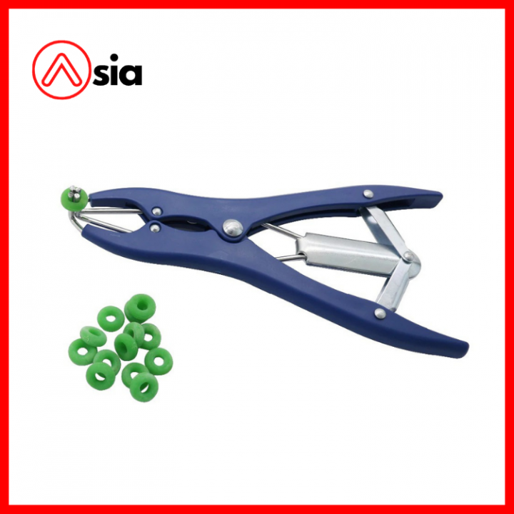 Kim_thien_vong_duc_0972502797 (1)