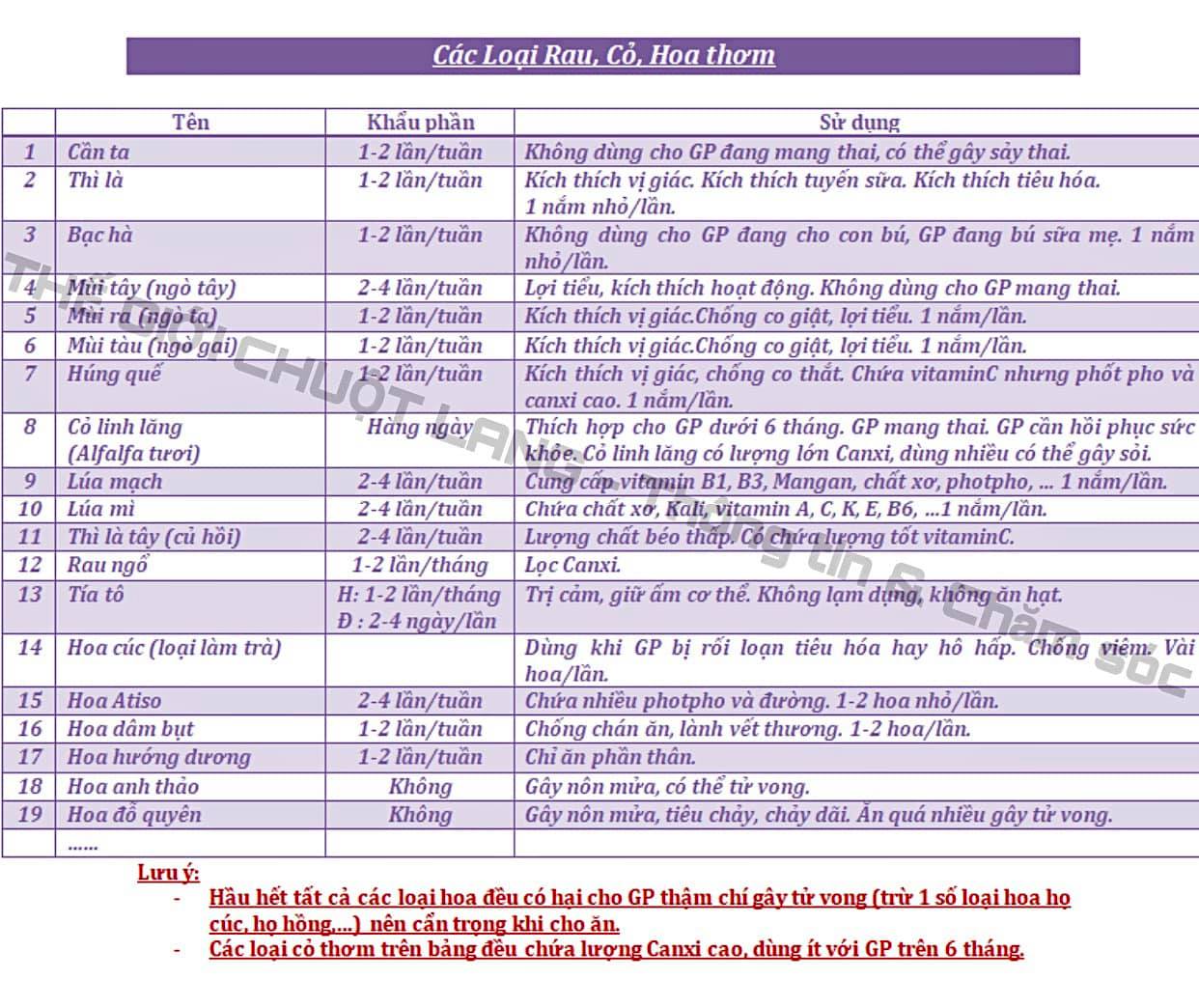 Ra_co_cho_chuot_lang