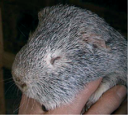 4.12_di_tat_bam_sinh_0972502797