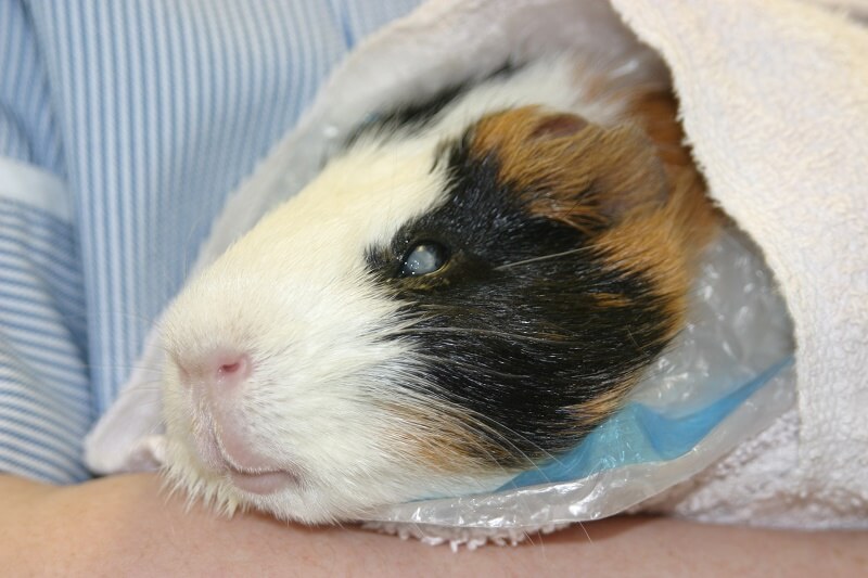 4.12_duc_thuy_tinh_the_0972502797