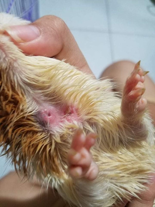 4.14_ap_xe_sau_khi_vo_09722502979