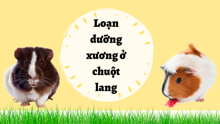 Thiết Kế Không Tên (35)