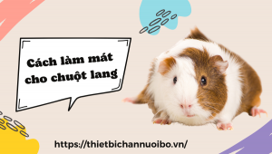 Thiết Kế Không Tên (44)