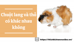 Thiết Kế Không Tên (49)