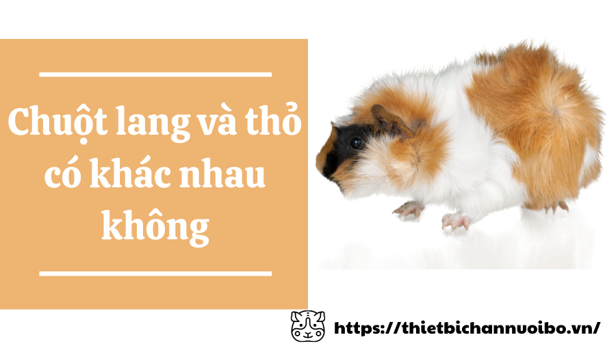 Thiết Kế Không Tên (49)
