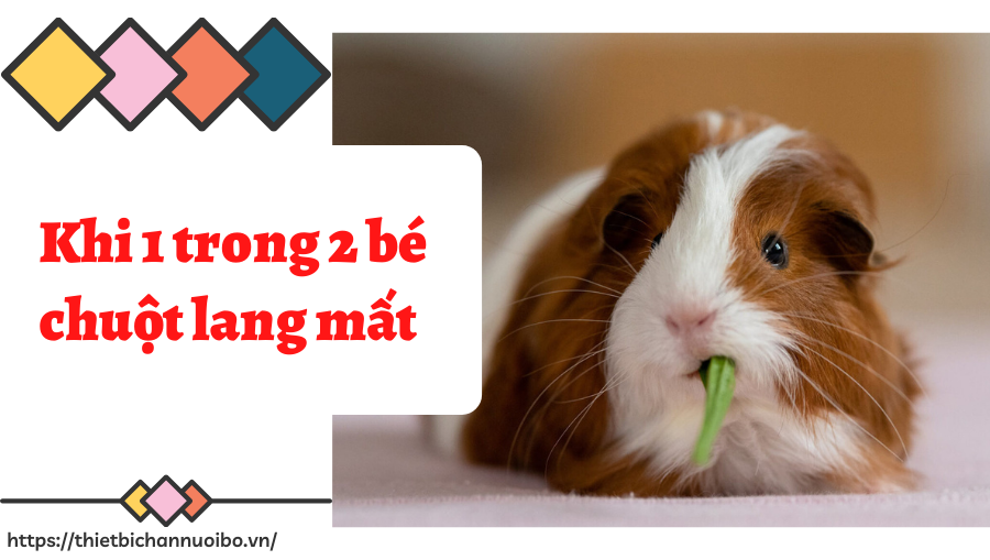 Thiết Kế Không Tên (54)